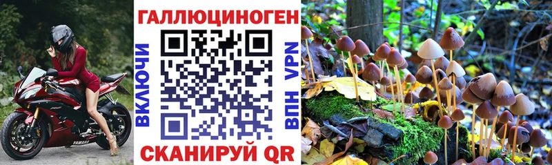 даркнет Telegram  МЕГА вход  Хилок  Галлюциногенные грибы мицелий 